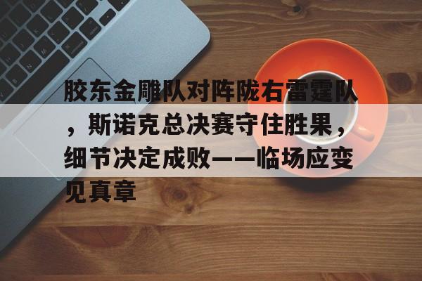 爱游戏官网网页版入口-胶东金雕队对阵陇右雷霆队，斯诺克总决赛守住胜果，细节决定成败——临场应变见真章的简单介绍