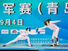 板球联赛，漠南海豚队与燕山铁骑队绝杀，VAR改判成焦点！中场绞杀压制对手